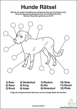 Hunde Rätsel für Kinder