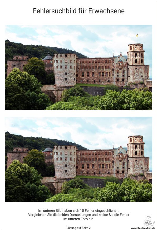 Fehlersuchbild Erwachsene Schlossruine