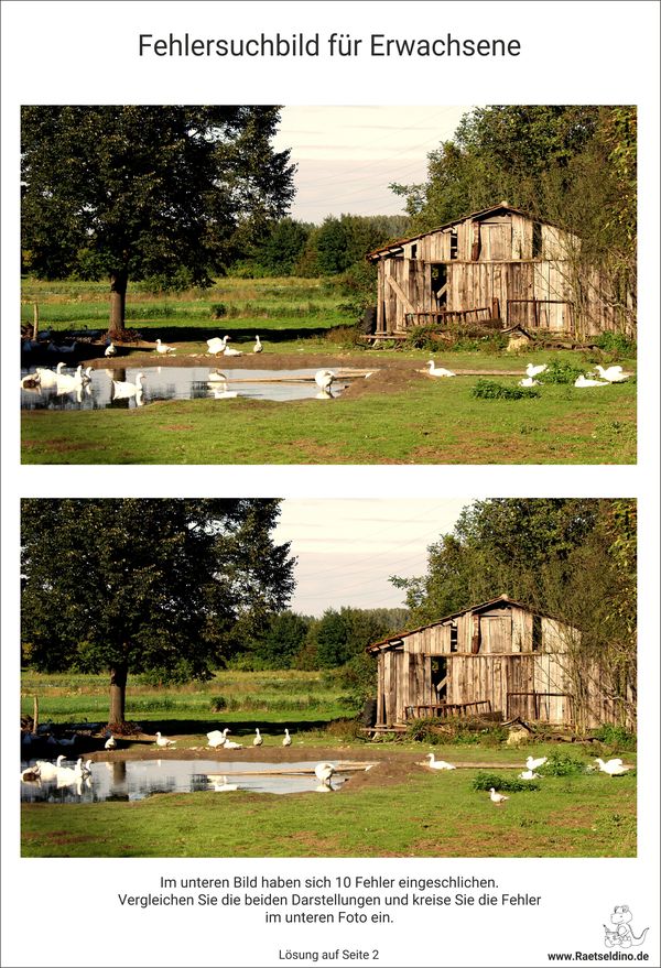 Fehlersuchbild für Erwachsene Landschaftsbild