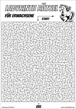 Labyrinth Rätsel Erwachsene Pferd