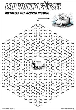 Tierrätsel Labyrinth Rätsel Robbe