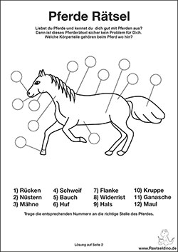 Pferde Rätsel für Kinder