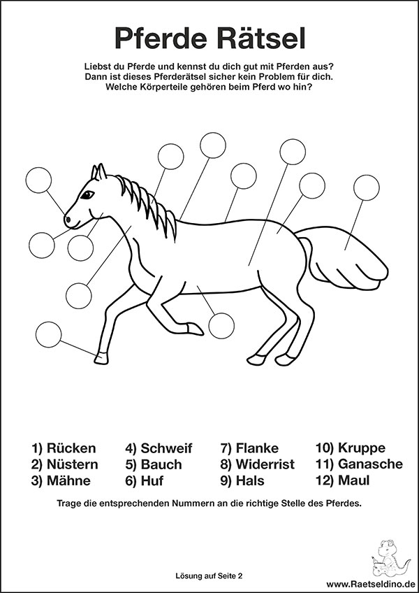 Pferde Rätsel für Kinder